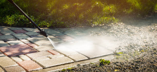 Best Gutter Cleaning  in Menahga, MN